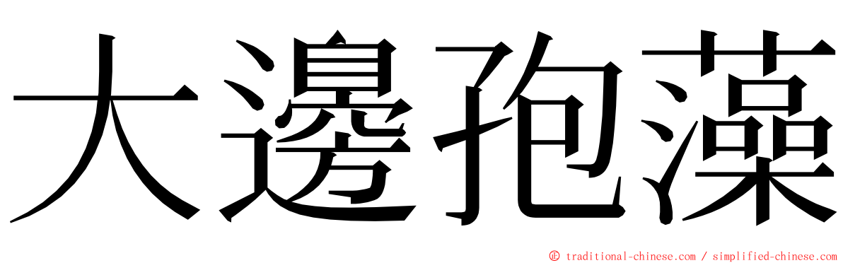 大邊孢藻 ming font