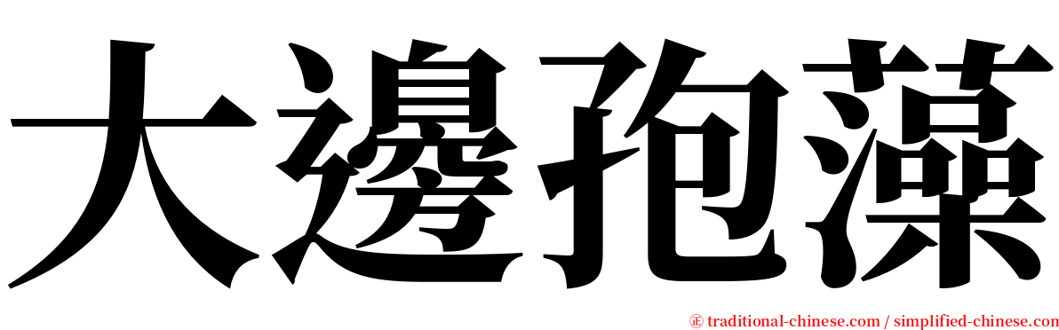 大邊孢藻 serif font