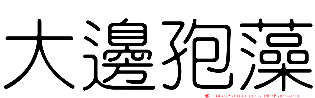 大邊孢藻