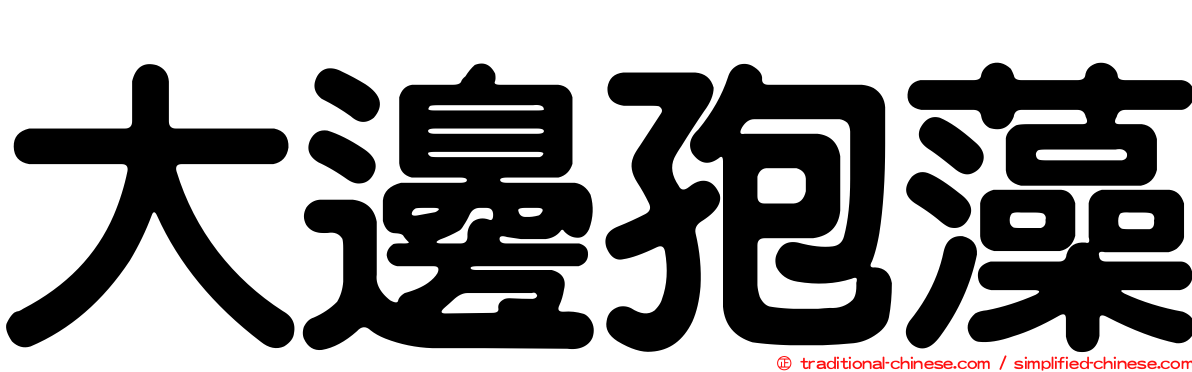 大邊孢藻