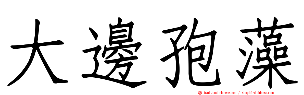 大邊孢藻
