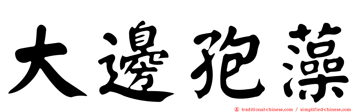 大邊孢藻