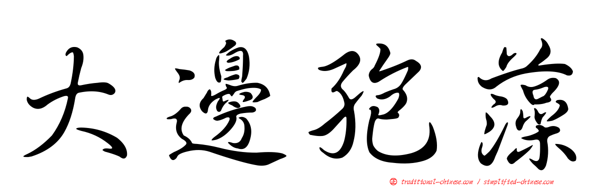 大邊孢藻