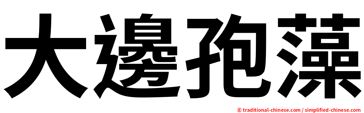 大邊孢藻