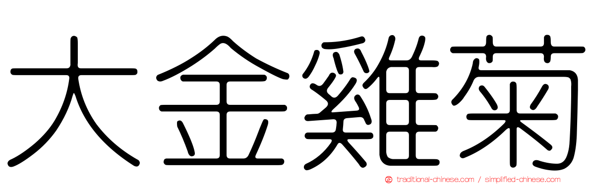 大金雞菊