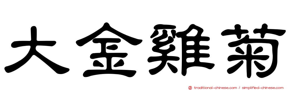 大金雞菊