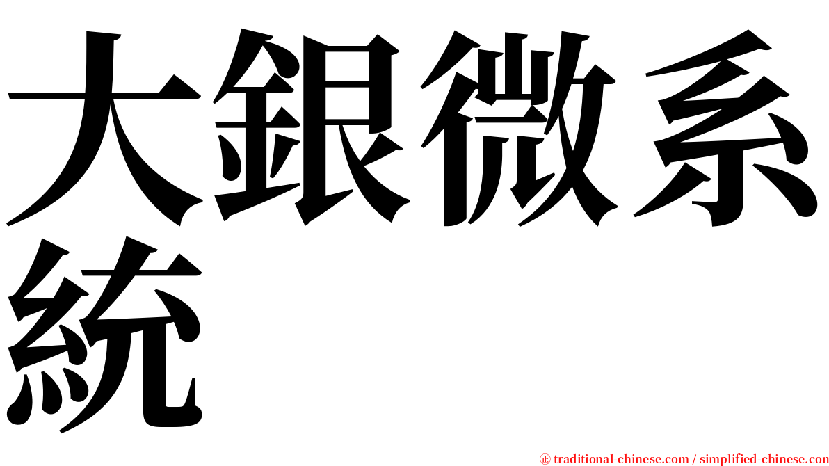 大銀微系統 serif font