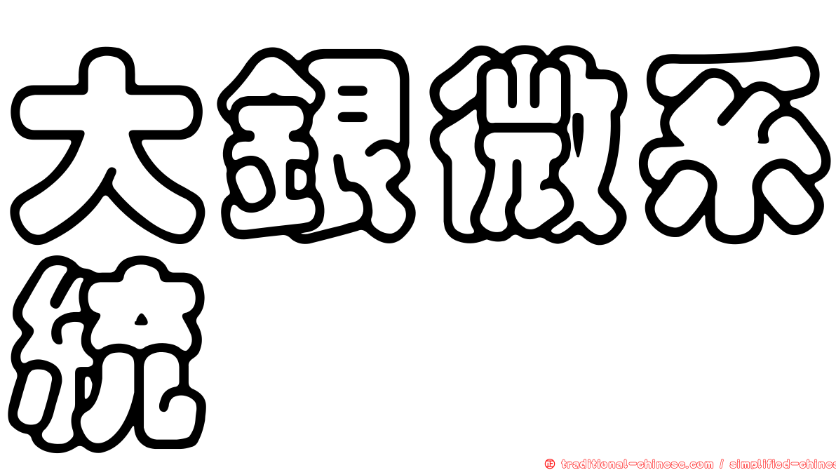 大銀微系統