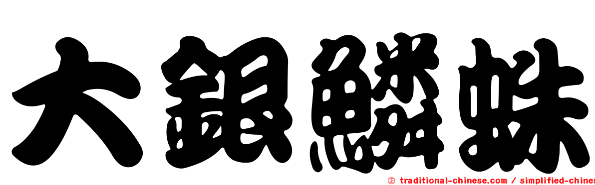 大銀鱗蛛