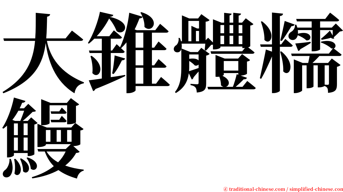 大錐體糯鰻 serif font