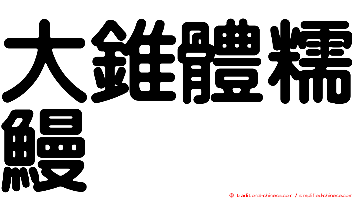 大錐體糯鰻