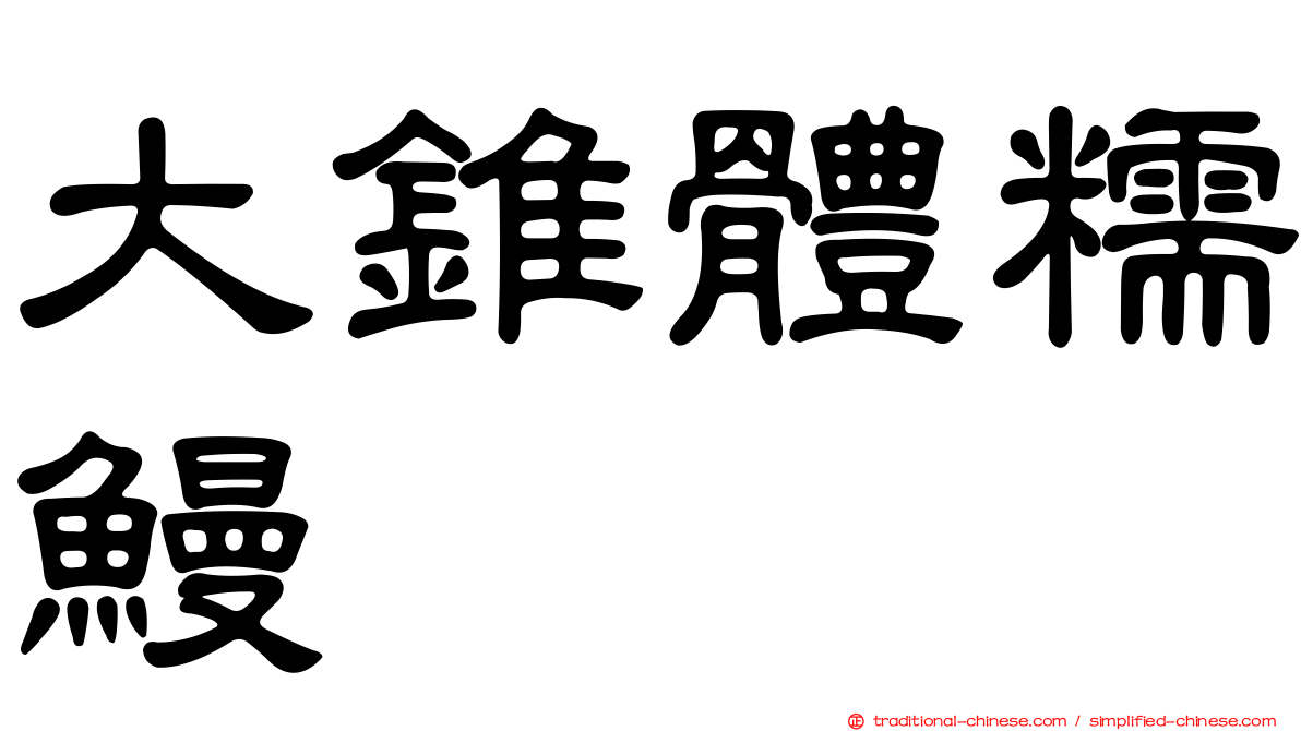 大錐體糯鰻