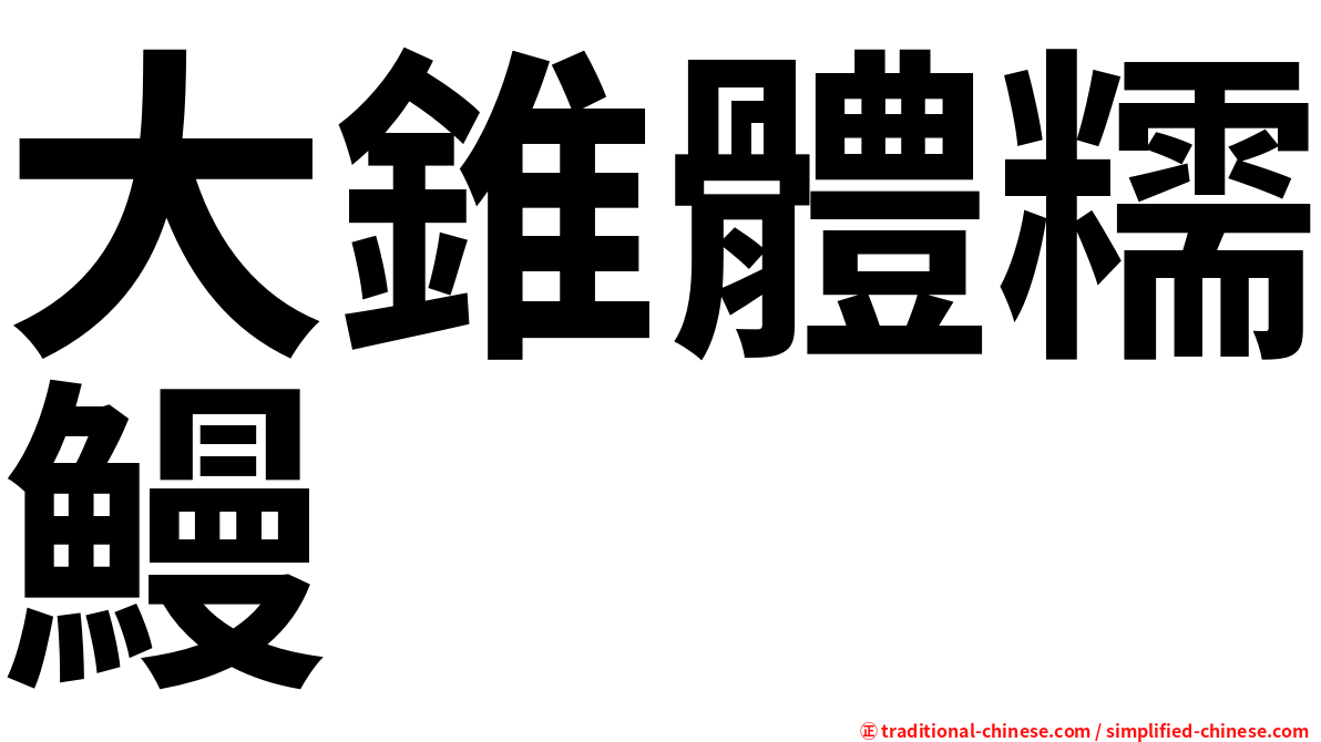大錐體糯鰻