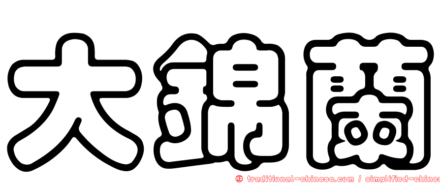 大錦蘭
