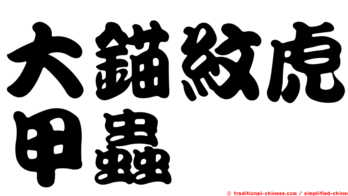 大錨紋虎甲蟲