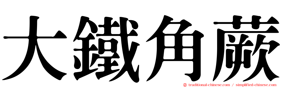 大鐵角蕨