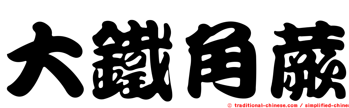 大鐵角蕨