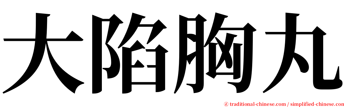 大陷胸丸 serif font