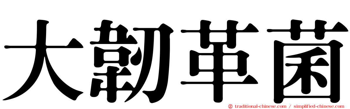 大韌革菌