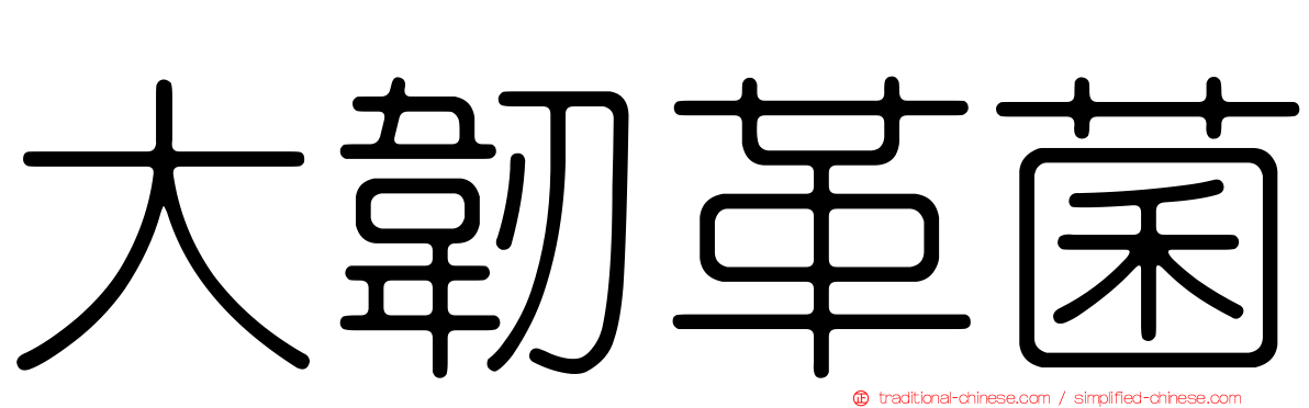 大韌革菌