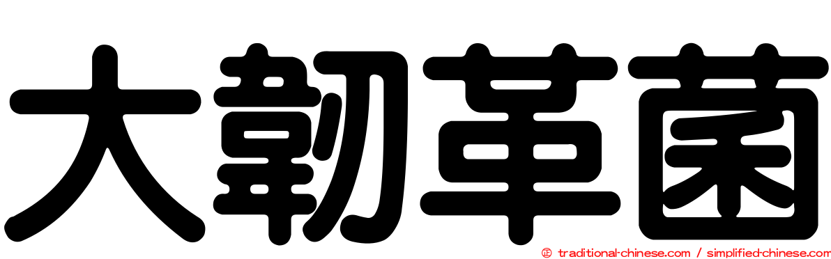 大韌革菌