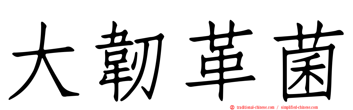 大韌革菌