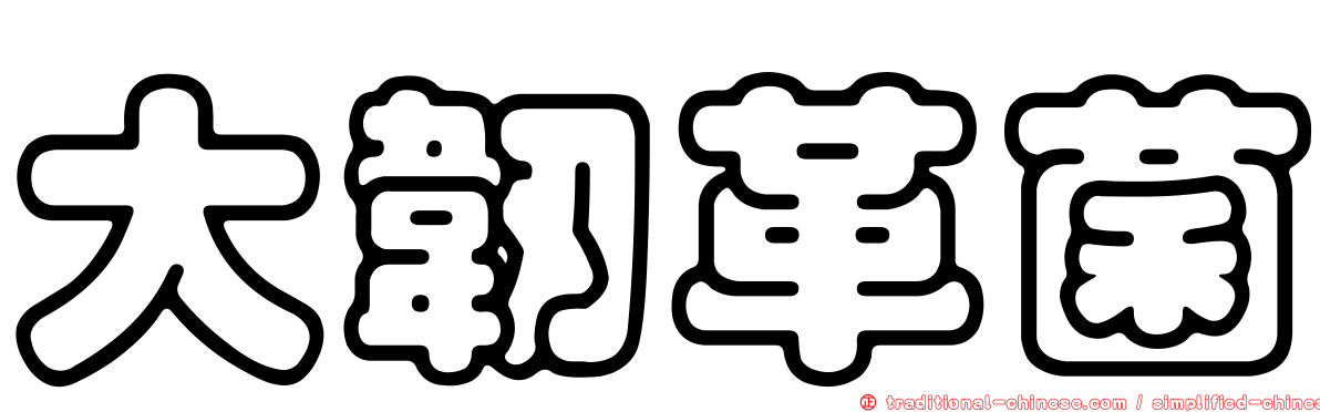 大韌革菌