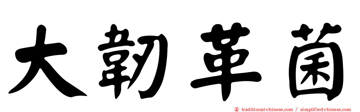大韌革菌