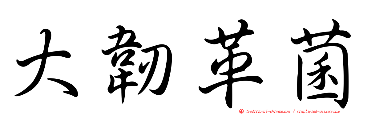 大韌革菌