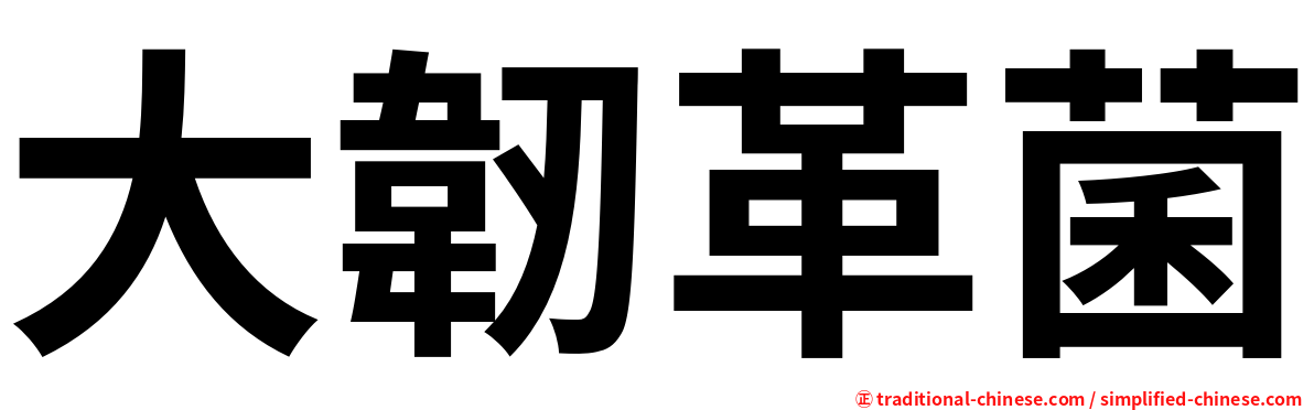 大韌革菌