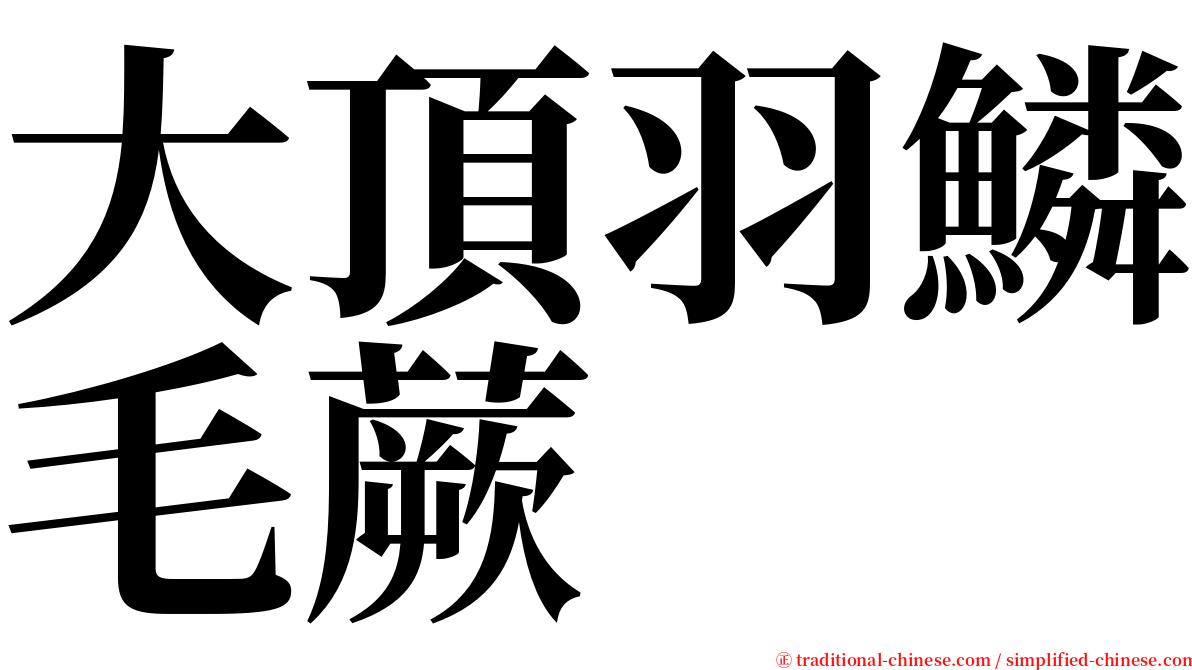 大頂羽鱗毛蕨 serif font