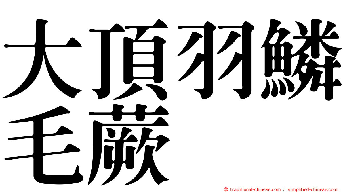 大頂羽鱗毛蕨