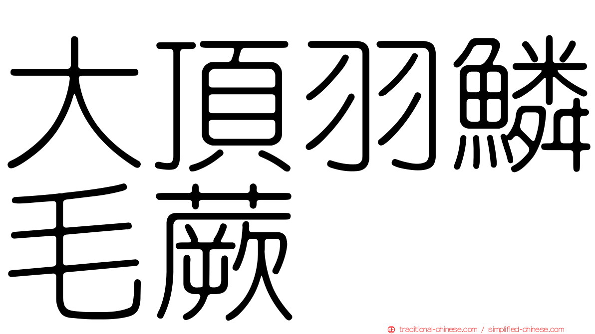 大頂羽鱗毛蕨