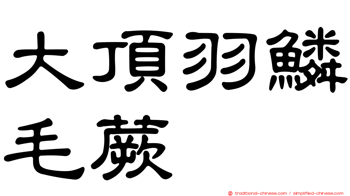 大頂羽鱗毛蕨