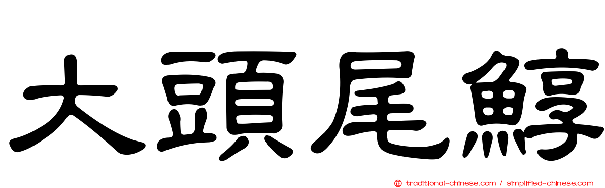 大頭尾鯙