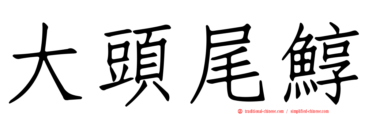 大頭尾鯙