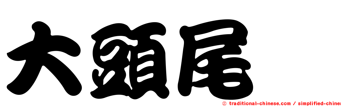 大頭尾鯙