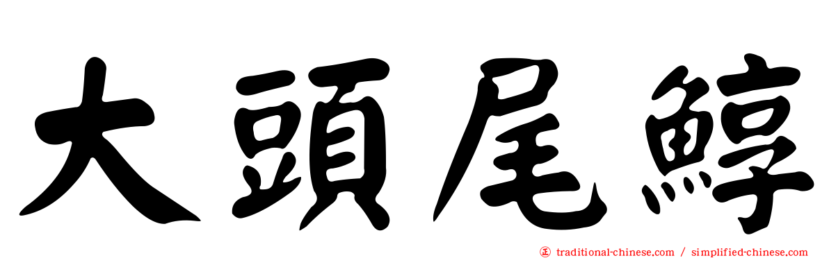 大頭尾鯙