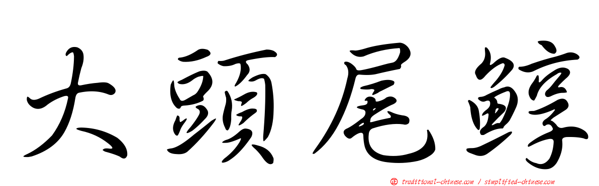 大頭尾鯙