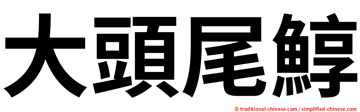 大頭尾鯙