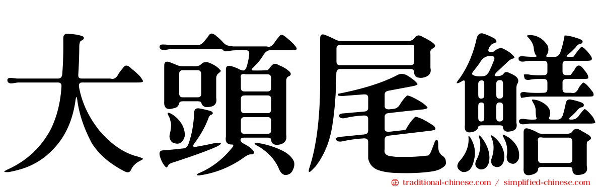 大頭尾鱔