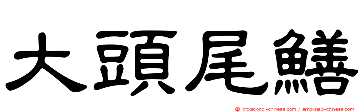 大頭尾鱔