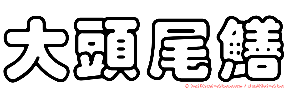 大頭尾鱔