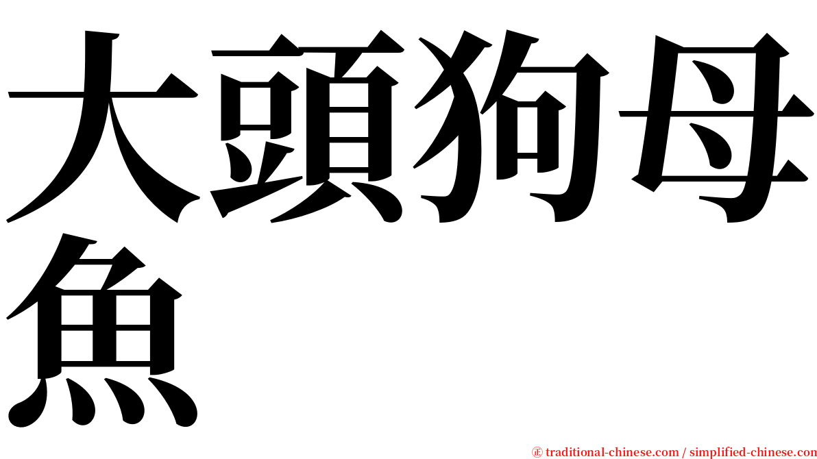 大頭狗母魚 serif font