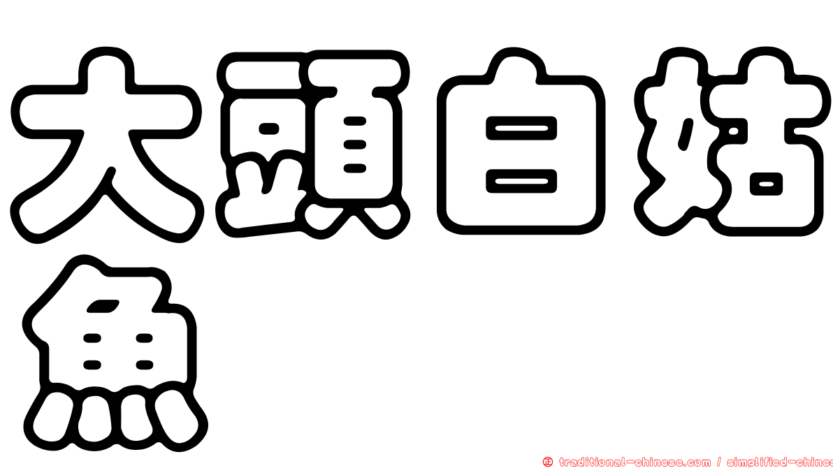 大頭白姑魚