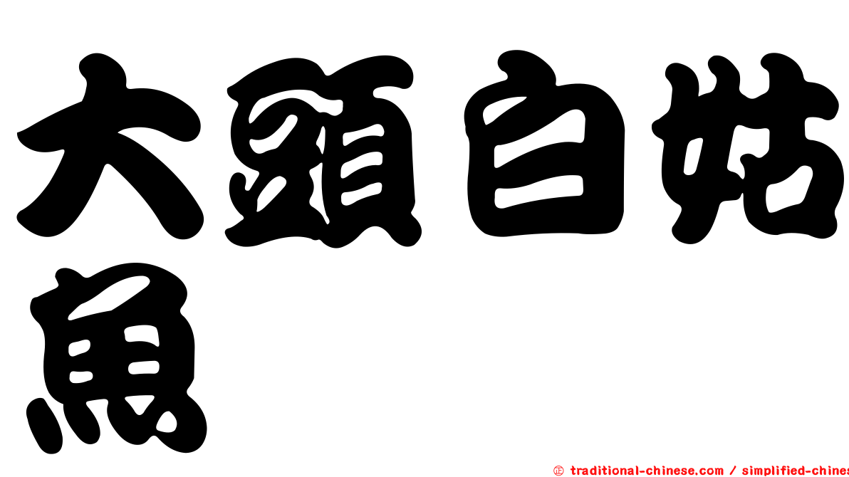 大頭白姑魚