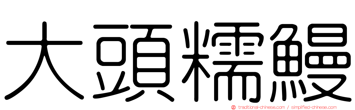 大頭糯鰻