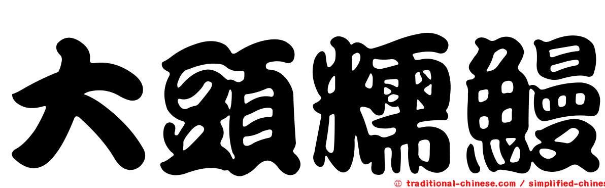 大頭糯鰻
