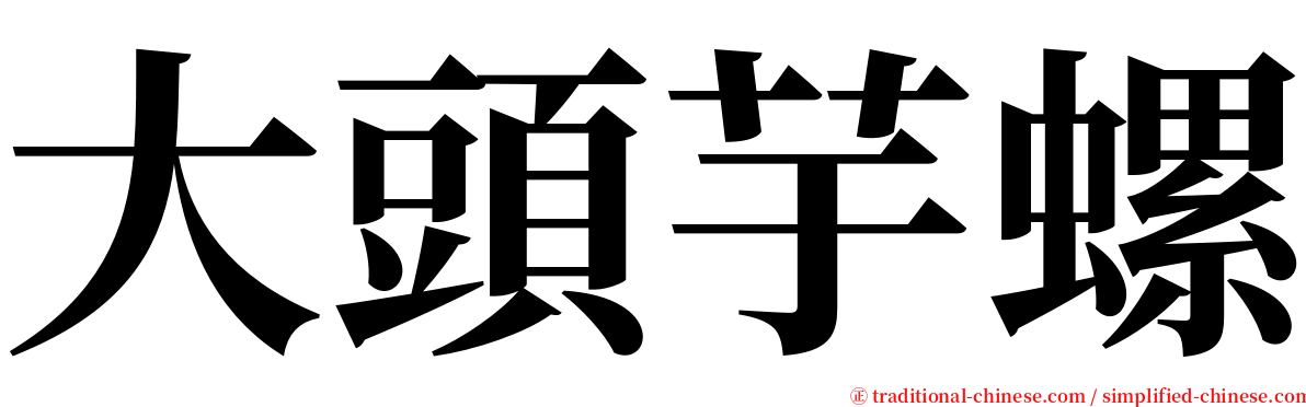 大頭芋螺 serif font
