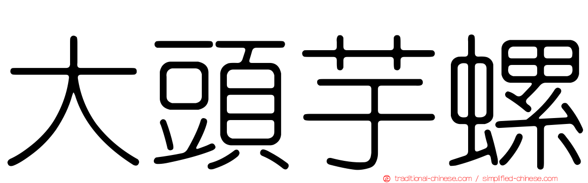 大頭芋螺